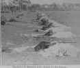 Skirmish line firing  position 1898 J.jpg (60679 bytes)